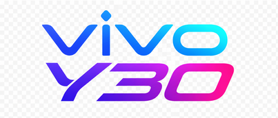 Logo vivoy30
